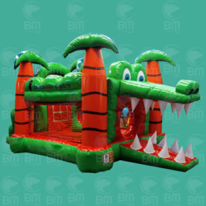 Coco Slide - Brincolines Guadalajara