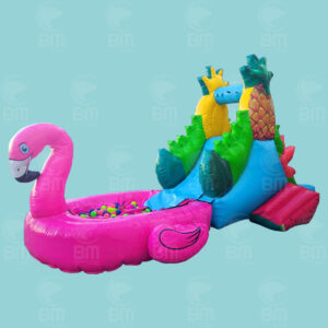 Summer Party Framingo - Brincolines Guadalajara